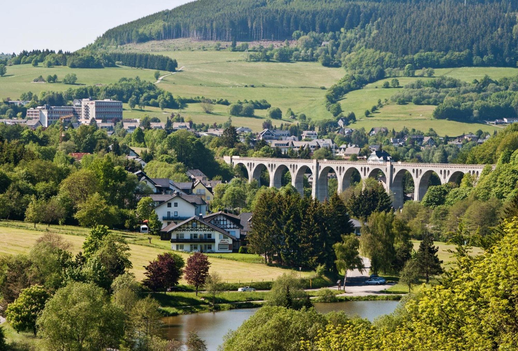 빌링겐 Friends & Family Domizil Willingen 아파트 외부 사진